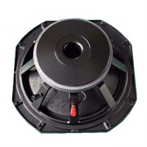 Woofer AA-10MB300