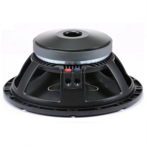 Woofer AA-12G301