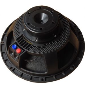 Woofer AA-12RN301