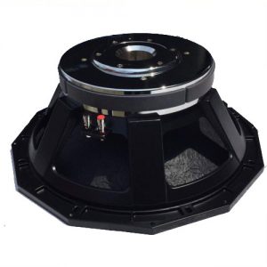 Woofer AA-18PD52