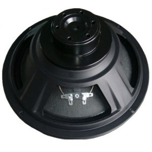 Woofer AA-TK08